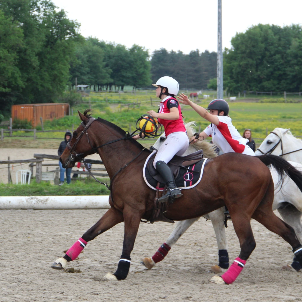 Equipe feminine HBLA en action pendant un match de horseball